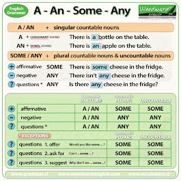 multiple choice     A /AN /SOME...