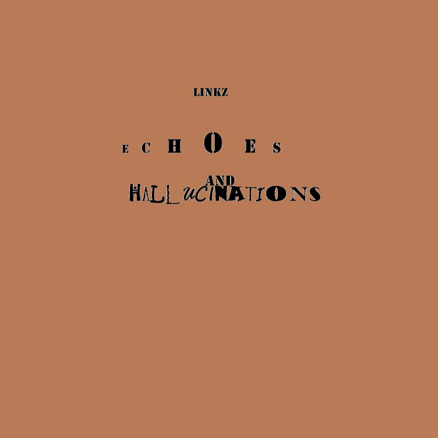 New Song by Linkz "Echoes and Hallucinations"