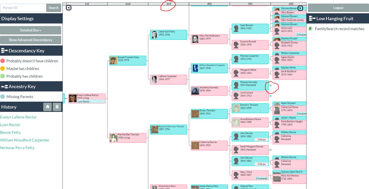 Family History, I Am Doing It: 2015