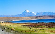 mount kailash