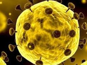 Sejarah Virus Corona Asli Lengkap