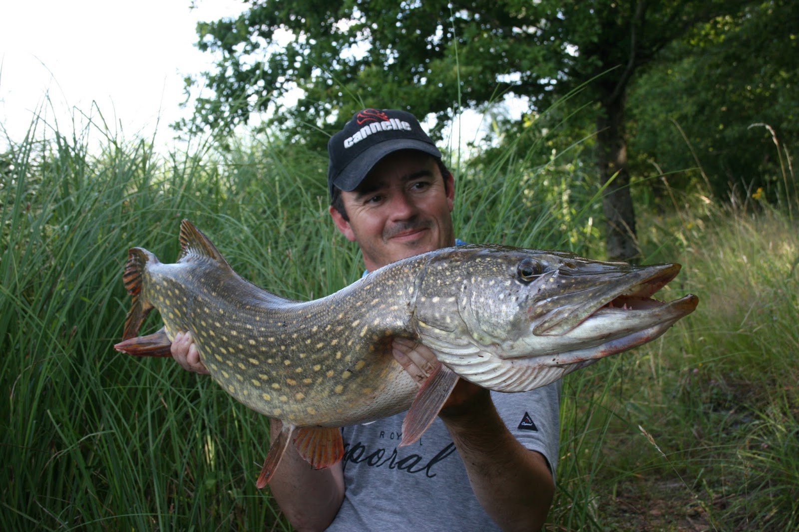 MRWATER Un gros brochet du lac....