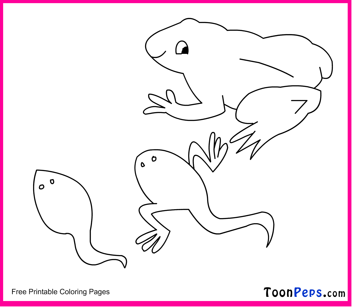 tadpole coloring pages - photo #3