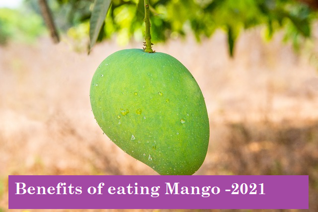 Benefits of eating mango-mango benefits