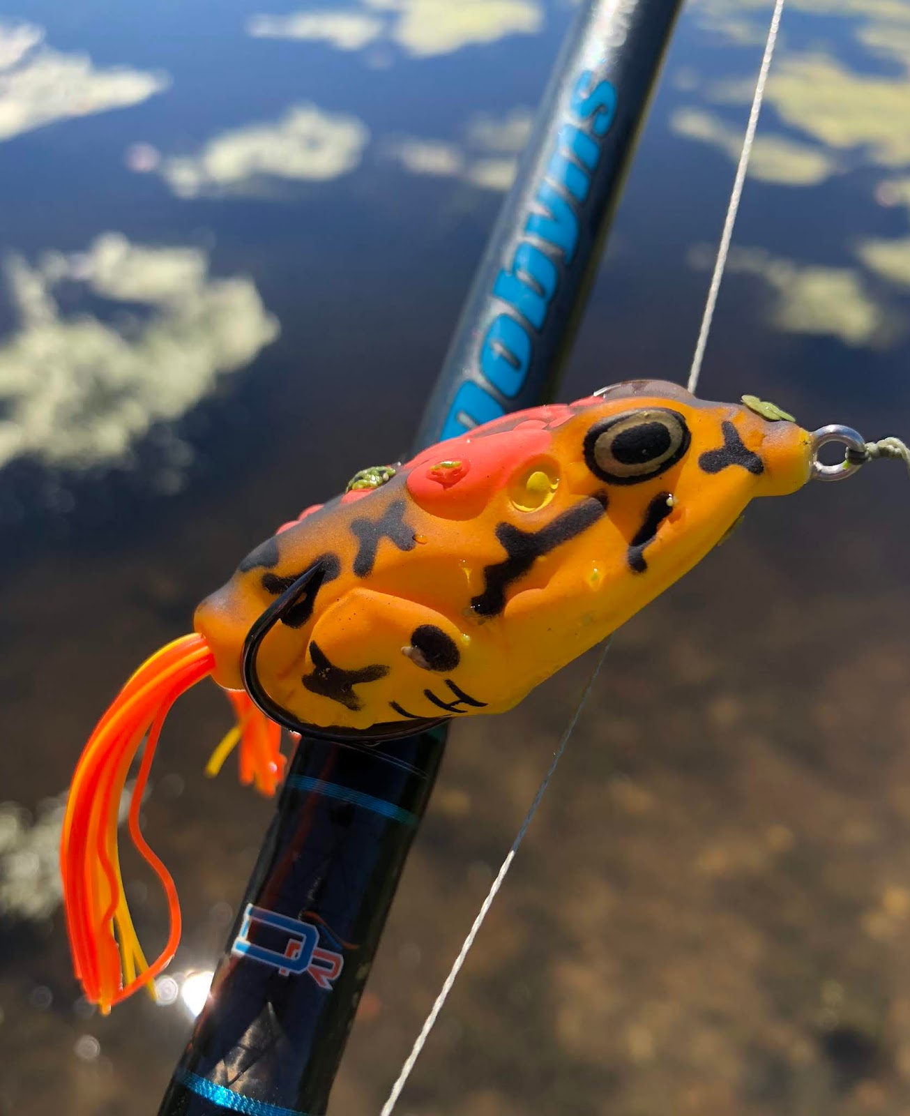Bass Junkies Frog Pond: LunkerHunt Compact Frog Review