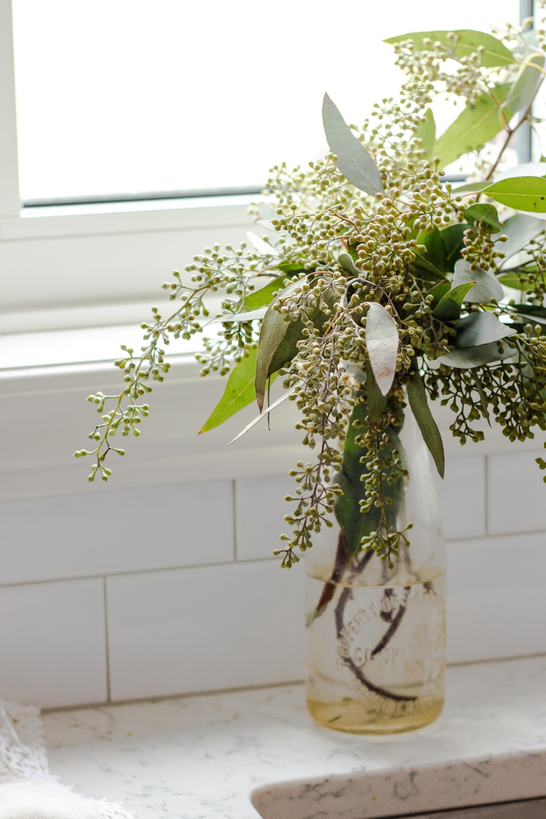 elliven studio Seeded Eucalyptus