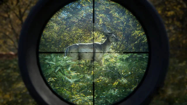 theHunter: Call of the Wild theHunter: Call of the Wild