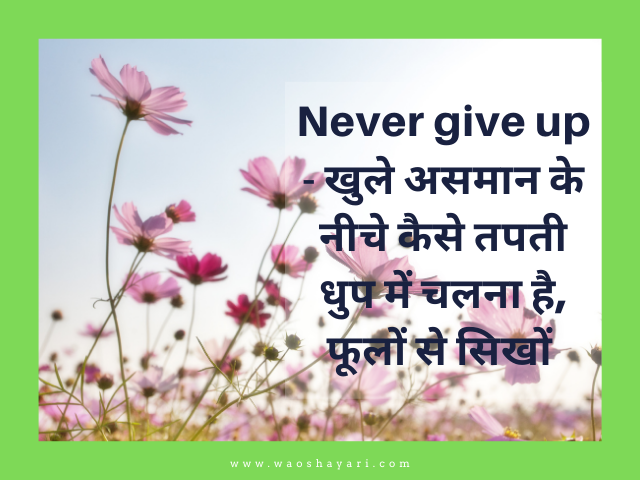 good morning flowers images for whatsapp status good morning flowers images