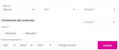 Formato para llenar datos de Vehiculo para cotizar Seguro de Auto