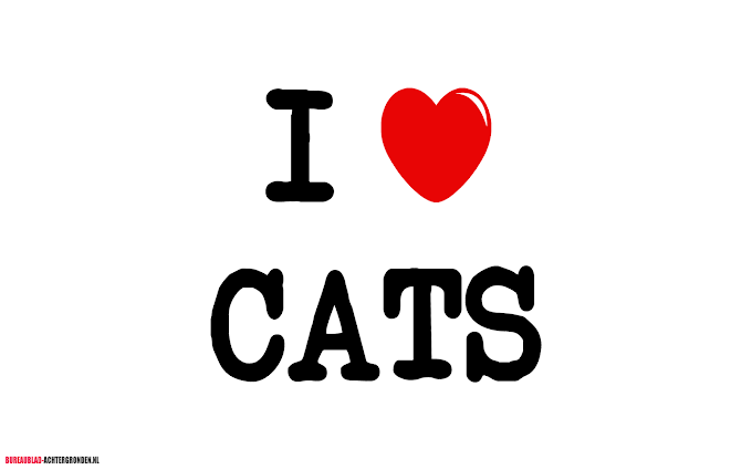 I love cats (ik hou van katten)