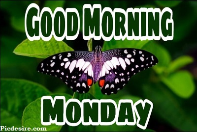 Good Morning Monday | 15+ Best Good Morning Monday Images Good Morning Monday | 15+ Best Good Morning Monday Images