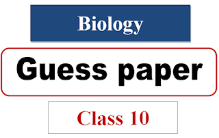 10th class biology guess paper 2024 pdf download punjab board