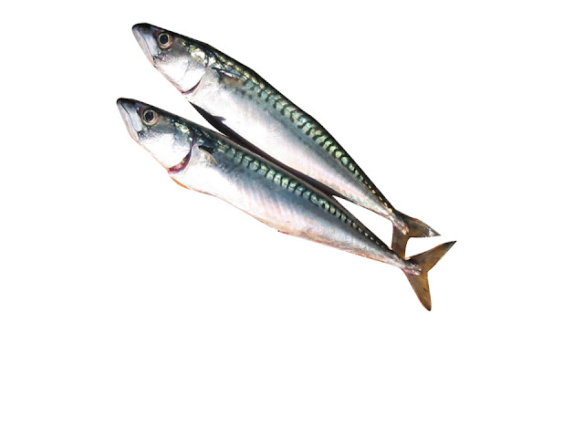 fish names in tamil with pictures