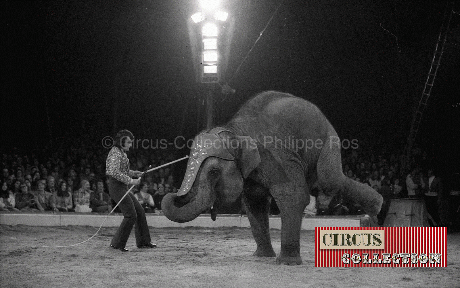 Louis Knie senior et un éléphant