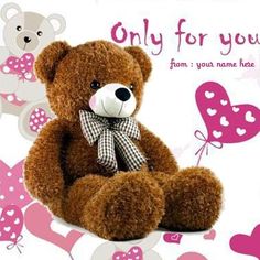 teddy day images