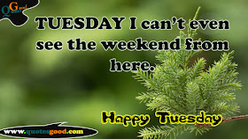 Welcome To Quotes Good Tuesday Morning Quotes Tuesday Morning
