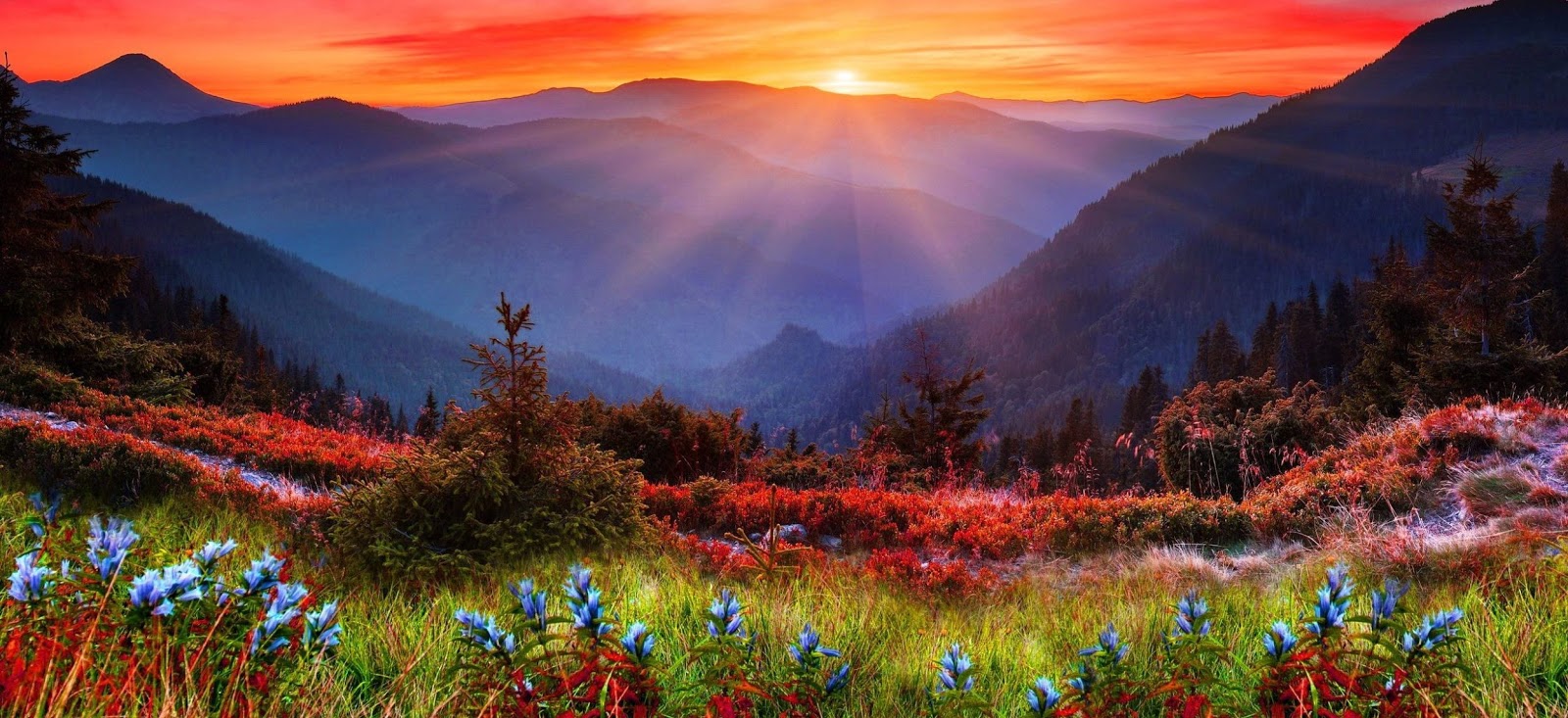 Keeling Egrisi Ve Kuresel Isinma Ali Sebetci