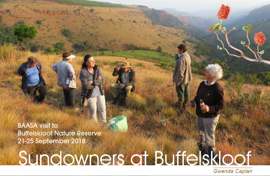 Botanical Artists Association of Southern Africa January 2019