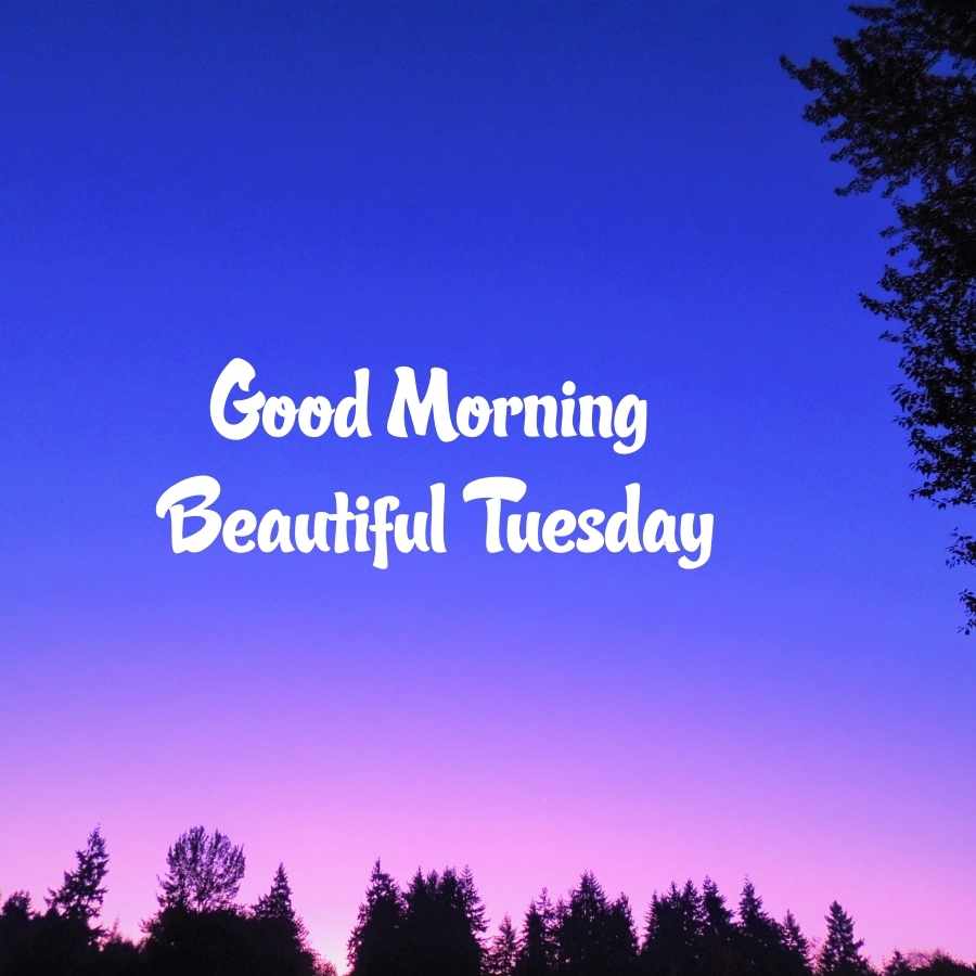 happy tuesday pics