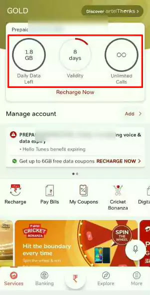 How to check net balance in Airtel