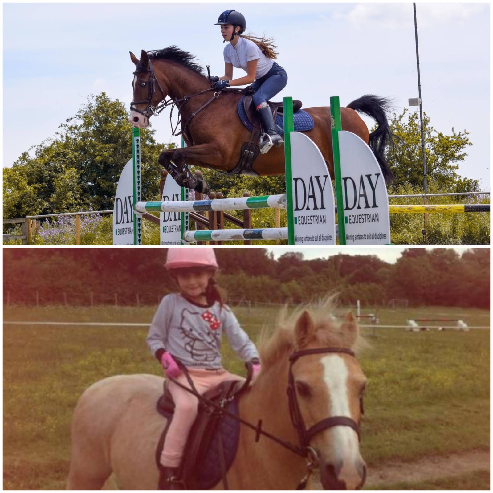 Southborough Lane Stables