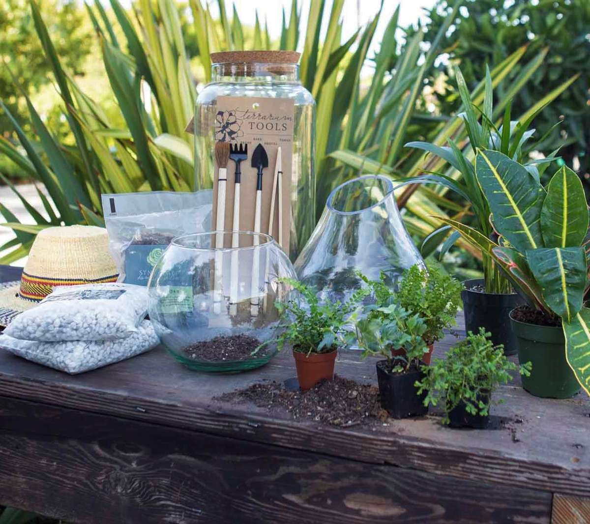 Sacramento Digs Gardening It's a happy hour terrarium party