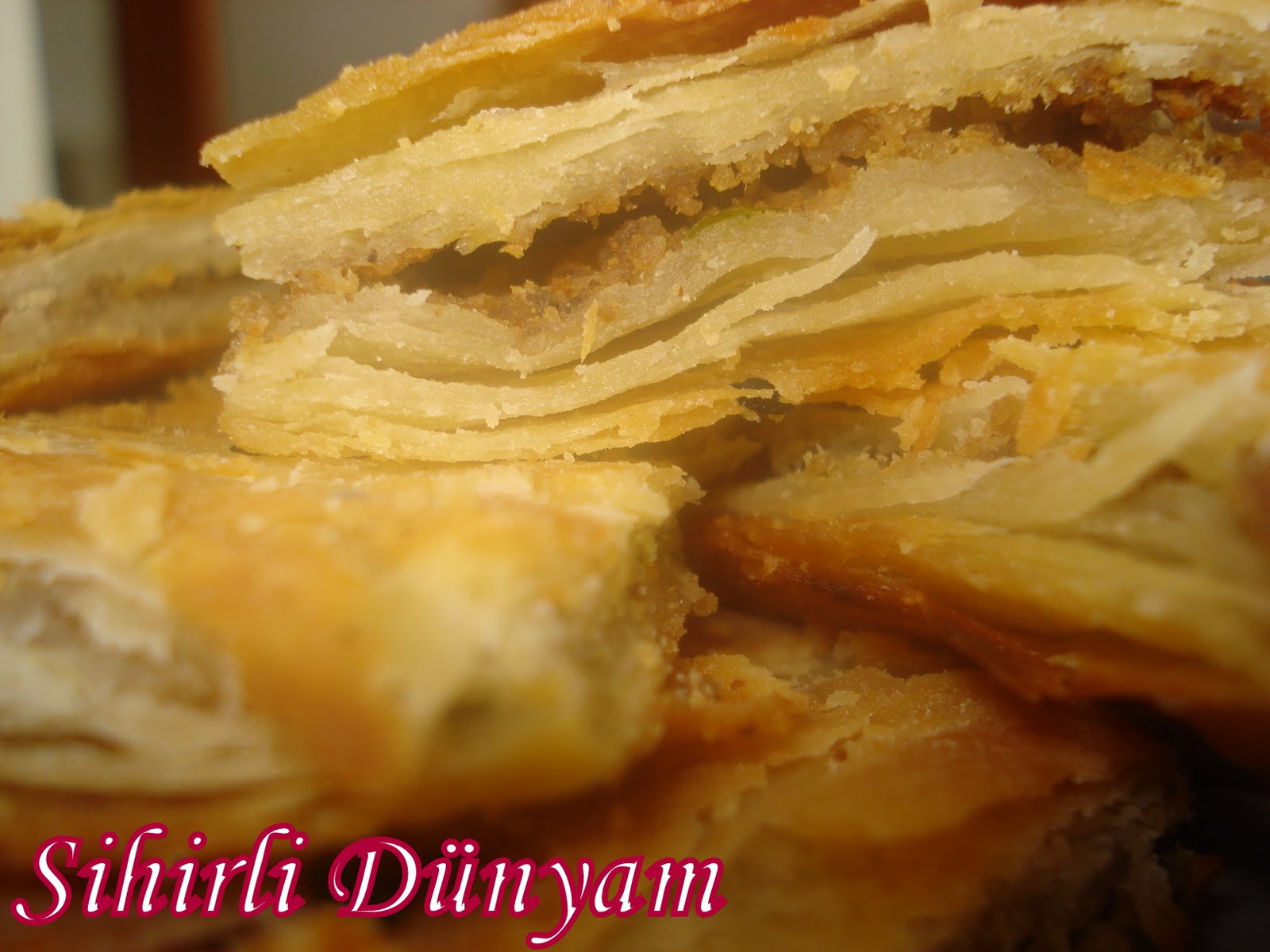 Duygu�nun Sihirli Dünyası Bolu Alt Üst Böreği