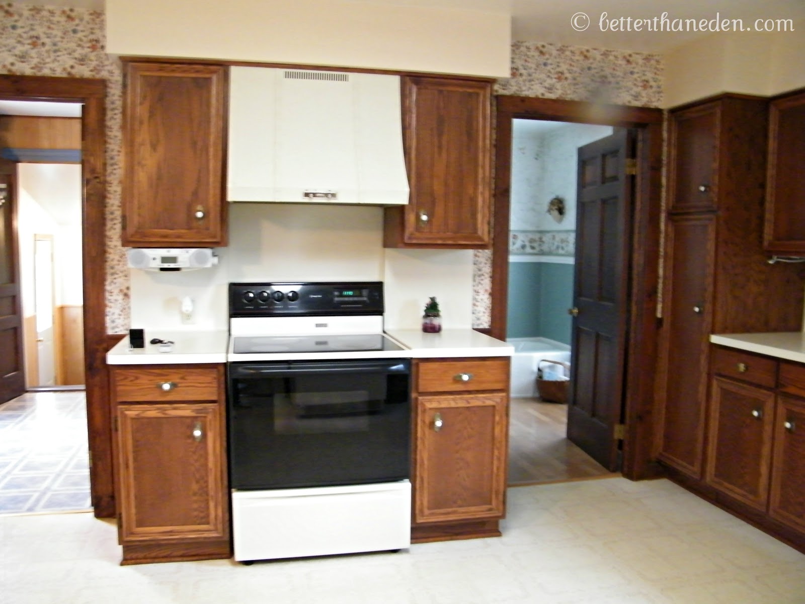 The Kitchen Redone Mary Haseltine