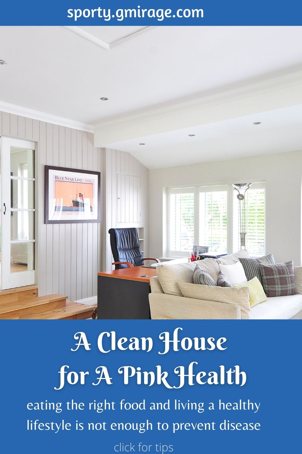 A Clean House for A Pink Health