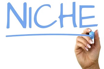 How To Choose The Perfect Niche For Your Blog