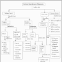Sistem koordinasi manusia diagram anatomis