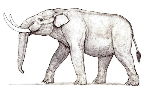 elefantes en Argentina Stegomastodon