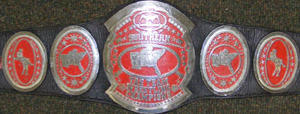 SouthernTagTeamTitles.jpg
