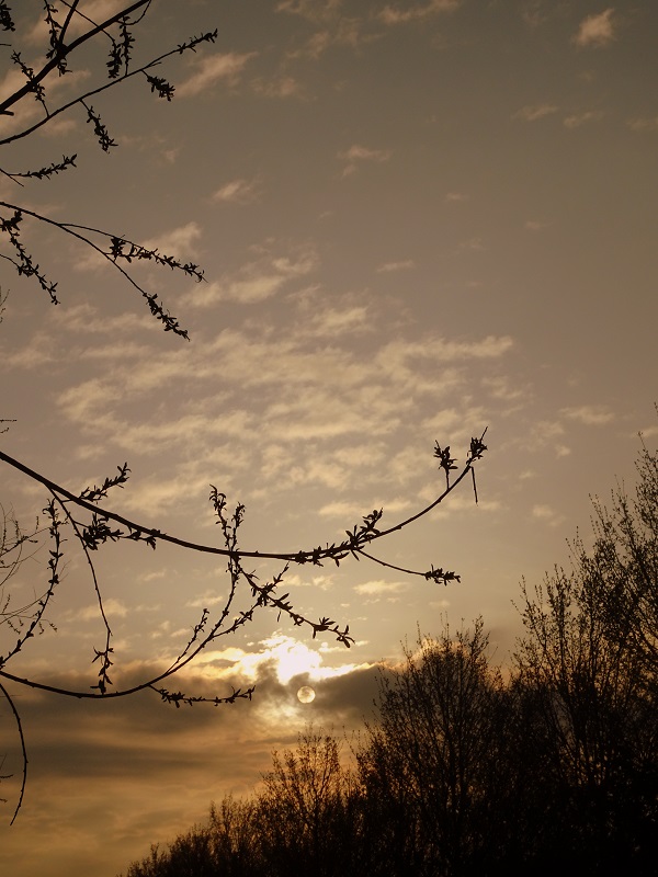 Earthloversontour 2017