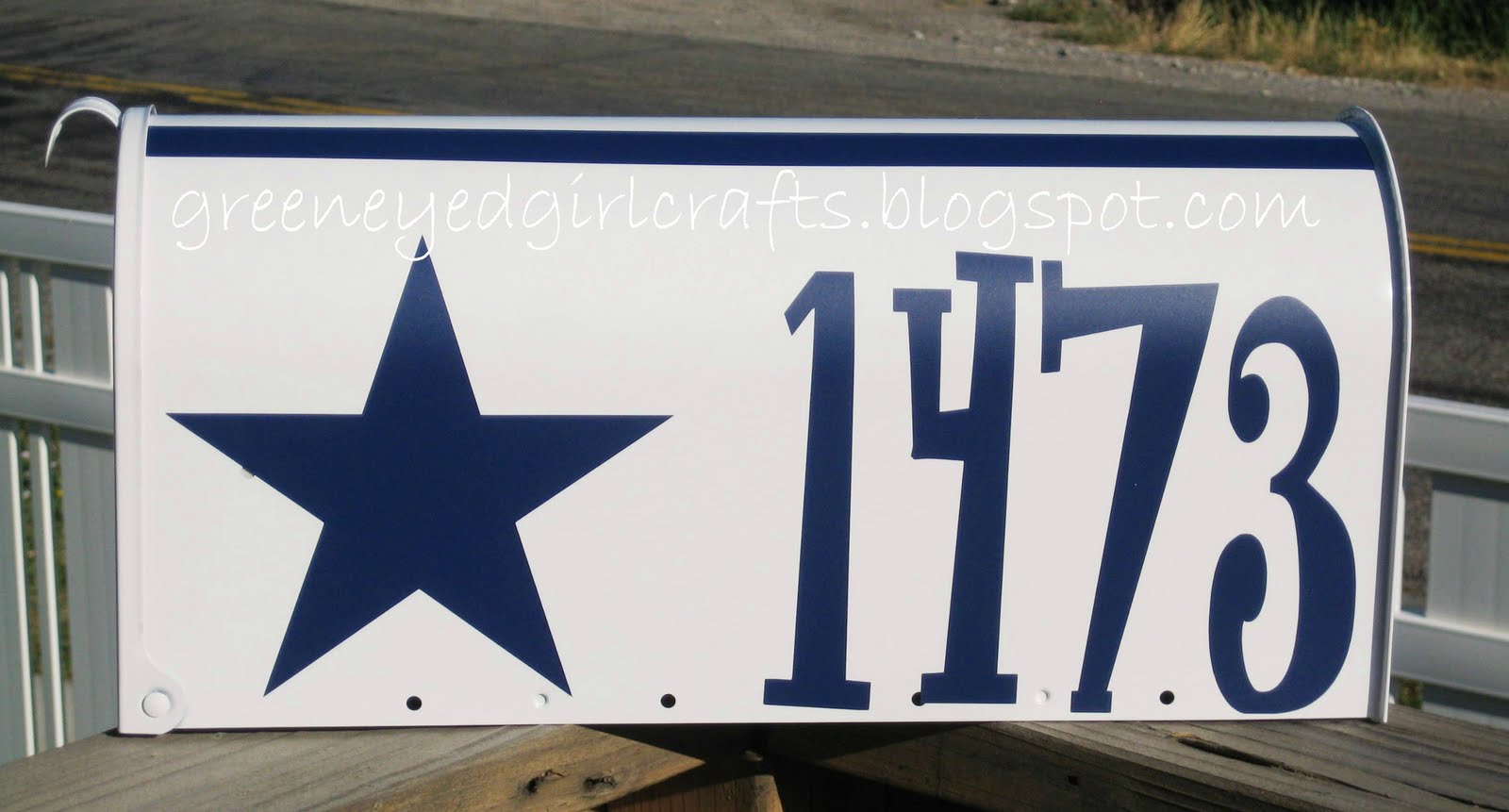 Green Eyed Girl Crafts Custom Dallas Cowboy Mailbox...