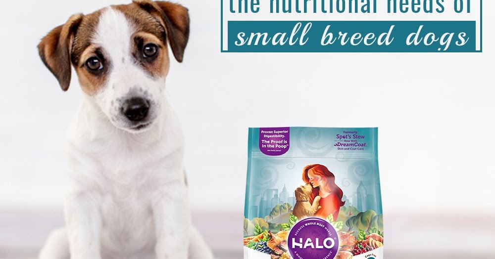 Pet Food Singapore Easily Buy Pet Food Online at SG Pets