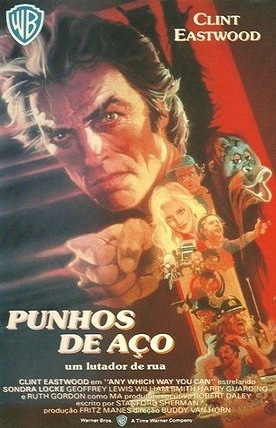 Punhos de Aço - Um Lutador de Rua Dublado e Dual Áudio Torrent BluRay 1080p - Download