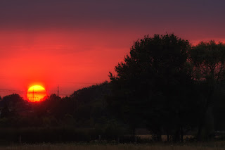 Naturfotografie Lippeaue Sonnenuntergang