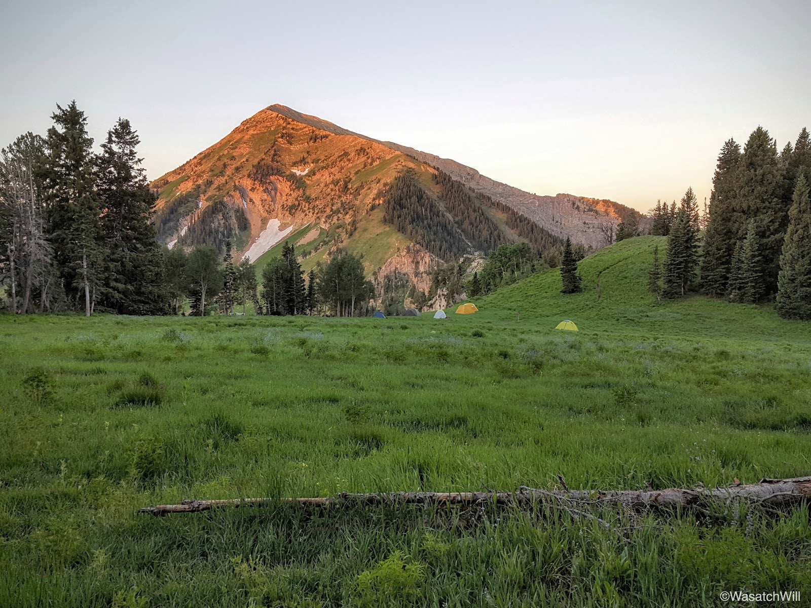 Box Elder Campground South Dakota at Ashley Olmo blog