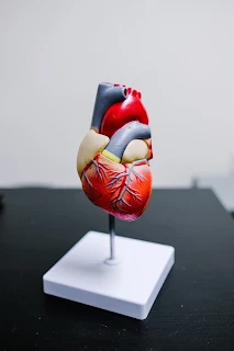Heart specimens for cardiac issues