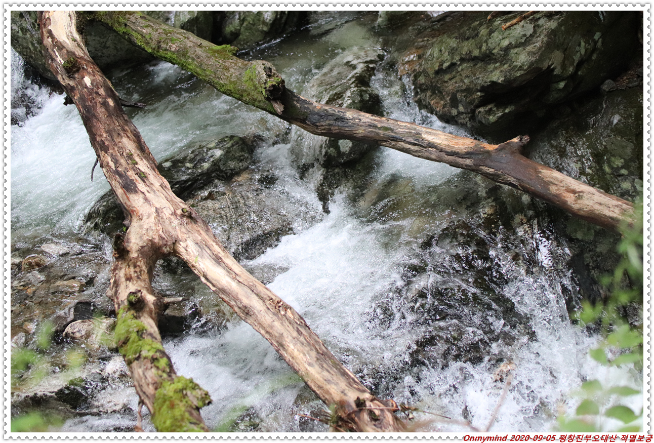 오대산 적멸보궁