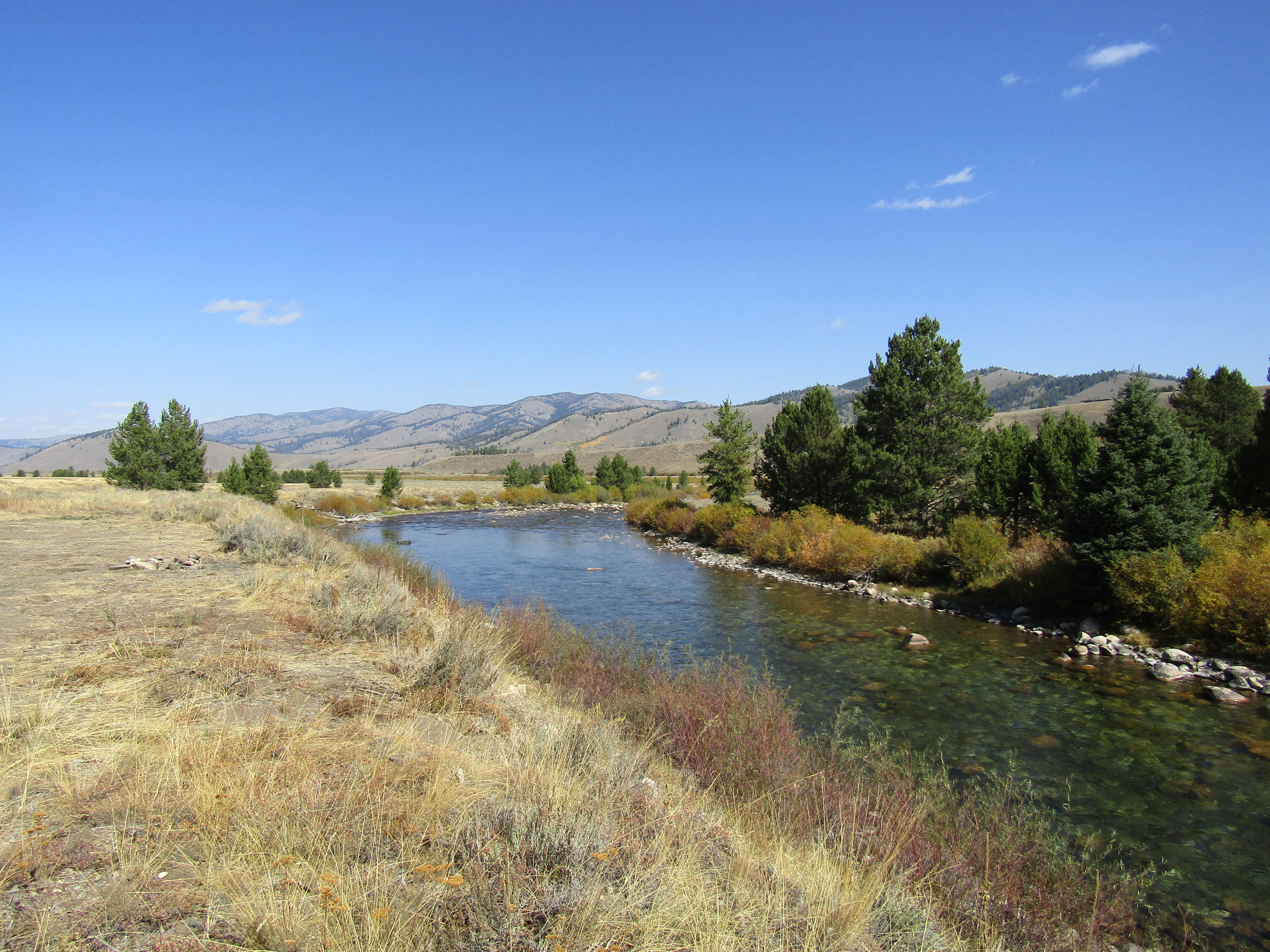 Holly's Horse Tales and Trails Tin Cup, Decker Flat, Iron Creek and