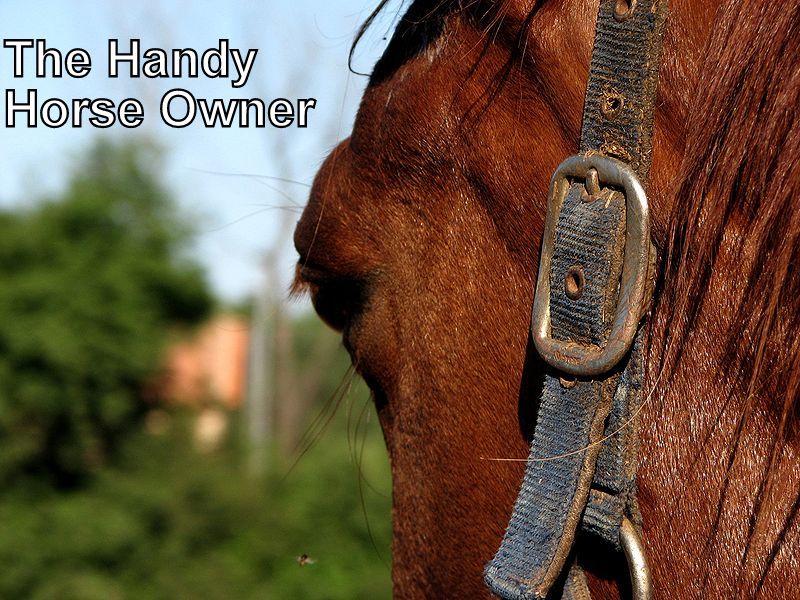The Handy Horse Owner Learning the Natural Trim (1)