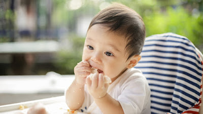 makanan organik, makanan bayi, balita, mpasi, pengganti asi,