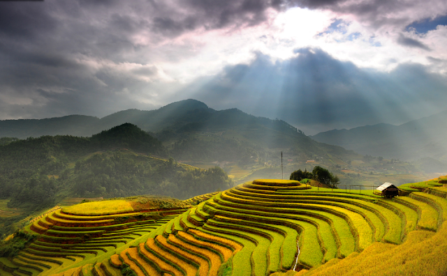 one of the heaven on earth place is Mu Cang Chai.