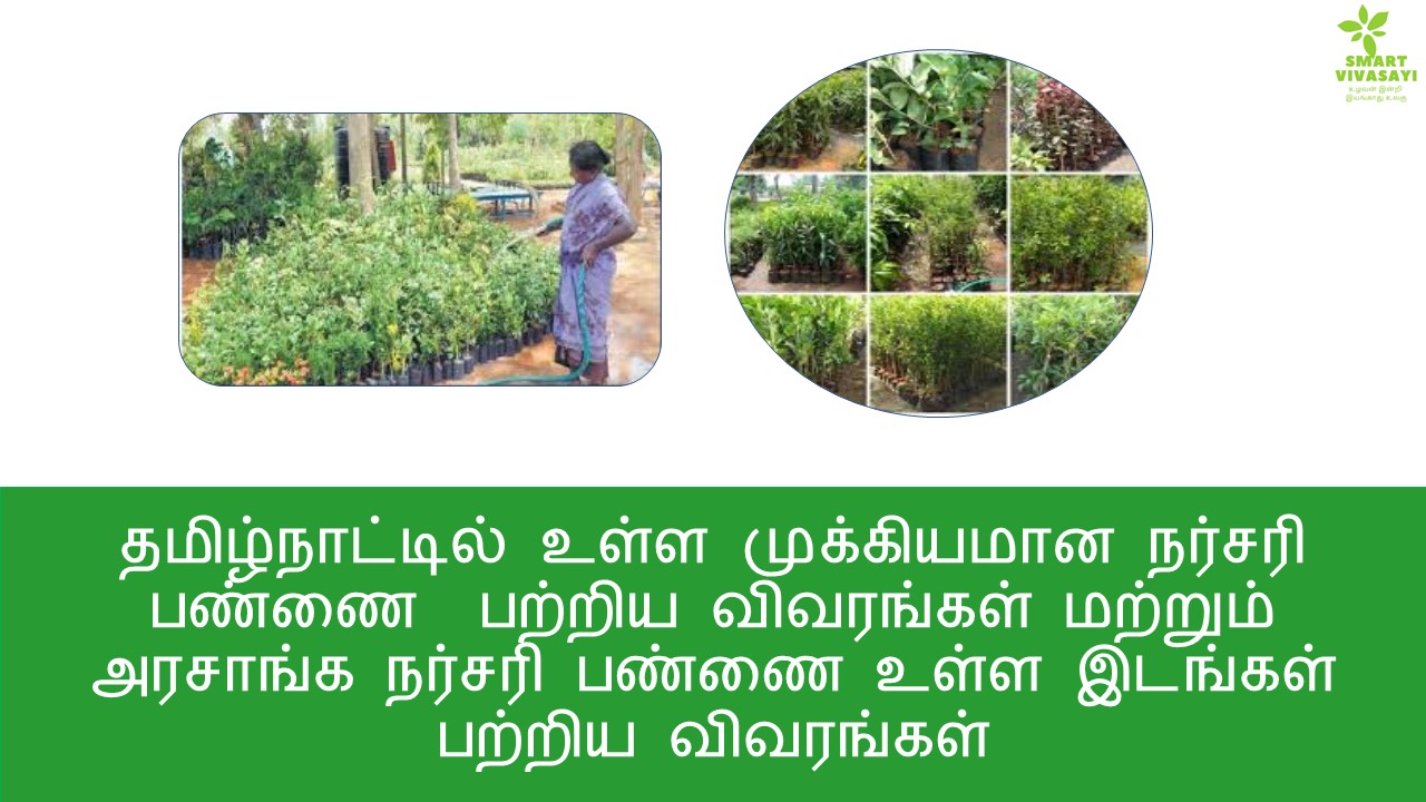 Nursery garden in tamil nadu