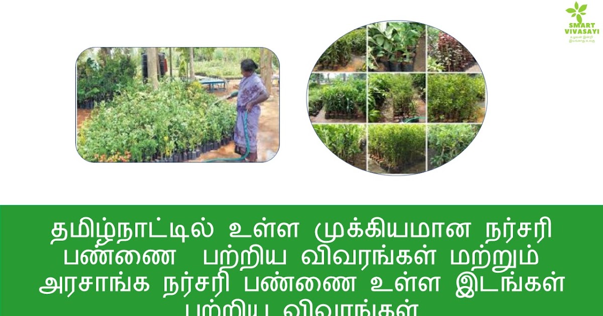 Nursery garden in tamil nadu
