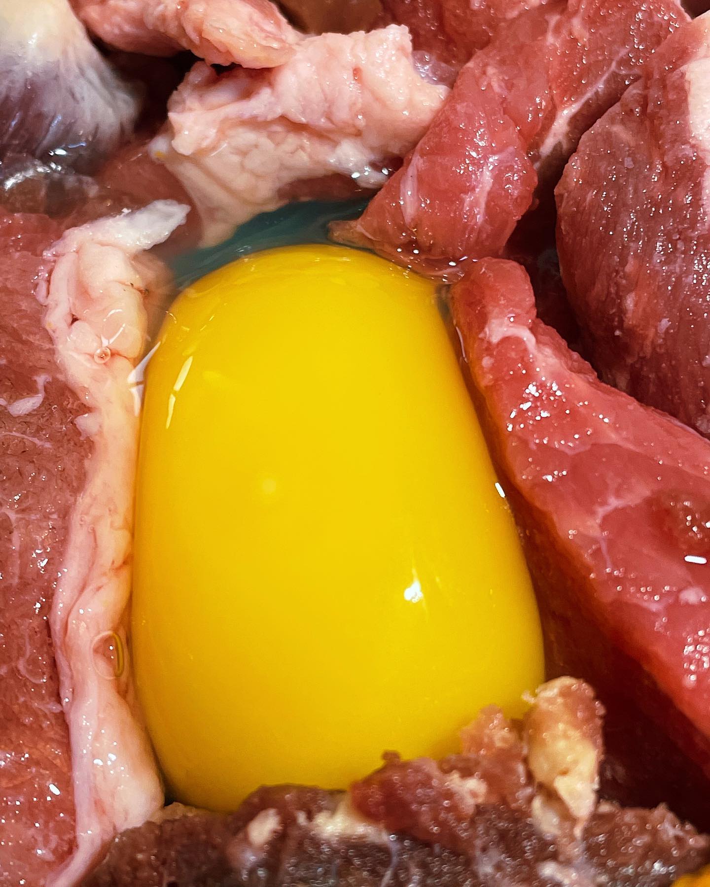 closeup picture of duck egg yolk and beef