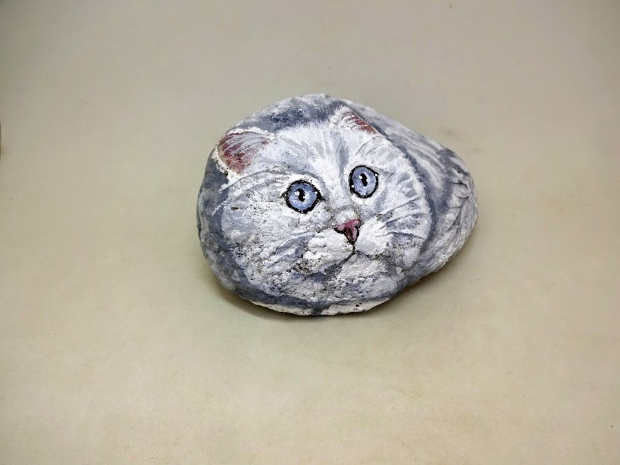 COMO PINTAR PIEDRAS CON GATO BLANCO PASO A PASO