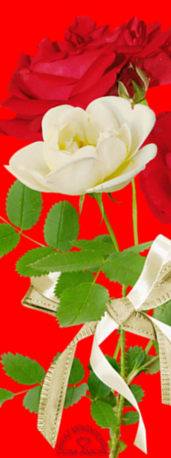 2.gif